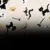 Spooky Cats (PH36)