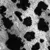 Ashen Fragments (NC42)